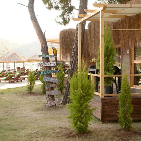 Green Pine Bungalows & Beach Luxury Concept Oludeniz Exteriér fotografie
