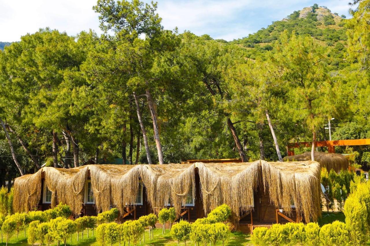 Green Pine Bungalows & Beach Luxury Concept Oludeniz Exteriér fotografie