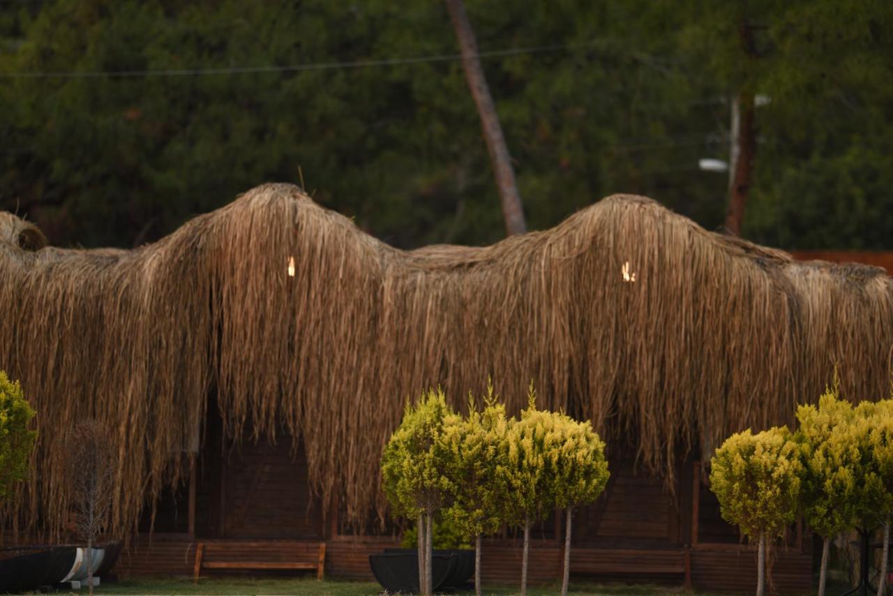 Green Pine Bungalows & Beach Luxury Concept Oludeniz Exteriér fotografie