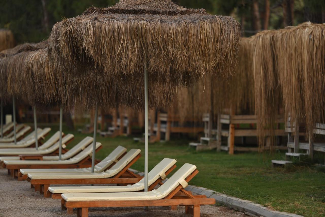 Green Pine Bungalows & Beach Luxury Concept Oludeniz Exteriér fotografie