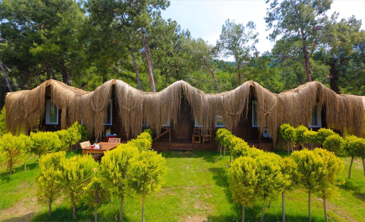 Green Pine Bungalows & Beach Luxury Concept Oludeniz Exteriér fotografie