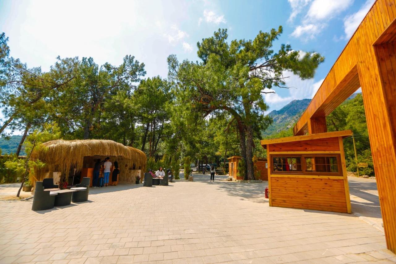 Green Pine Bungalows & Beach Luxury Concept Oludeniz Exteriér fotografie