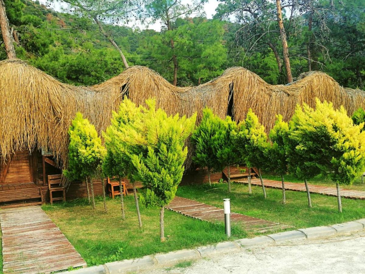 Green Pine Bungalows & Beach Luxury Concept Oludeniz Exteriér fotografie