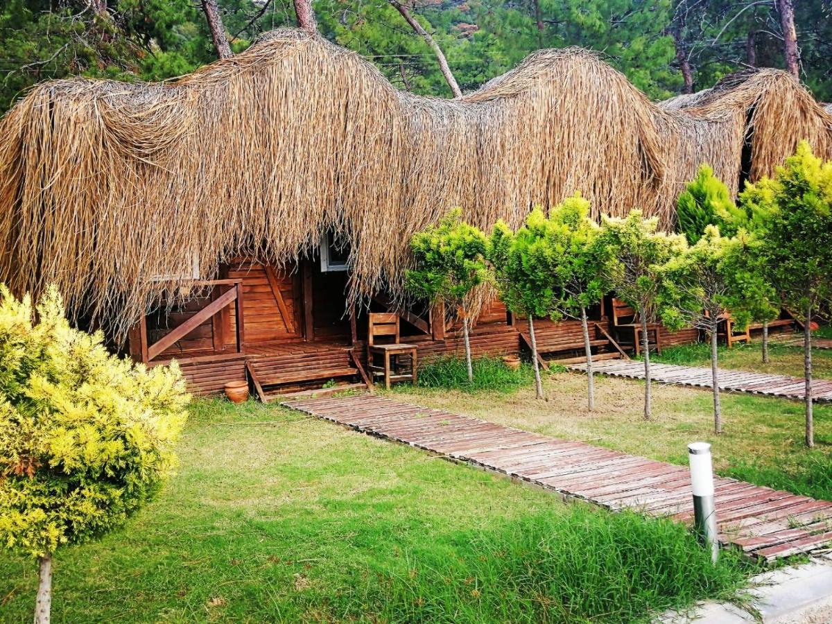 Green Pine Bungalows & Beach Luxury Concept Oludeniz Exteriér fotografie