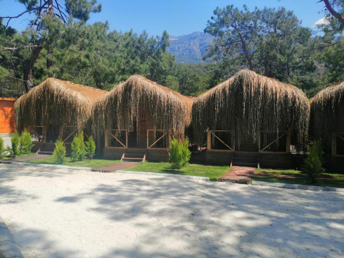 Green Pine Bungalows & Beach Luxury Concept Oludeniz Exteriér fotografie