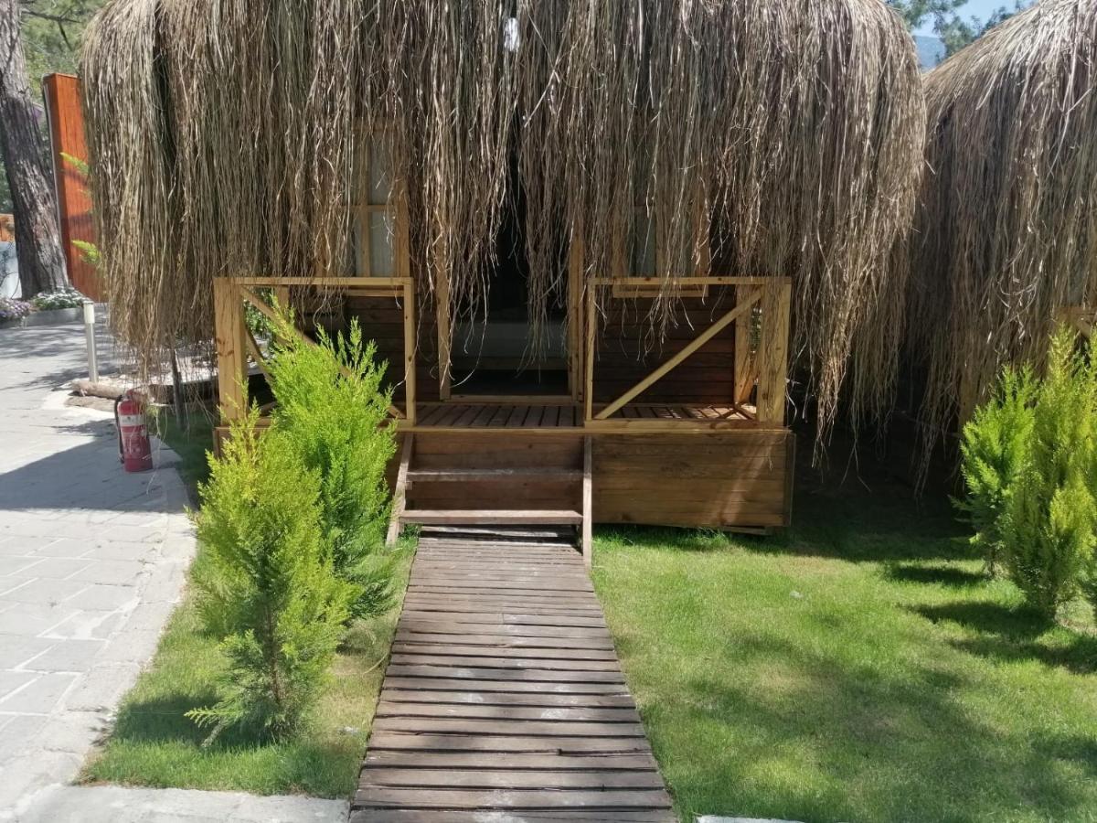 Green Pine Bungalows & Beach Luxury Concept Oludeniz Exteriér fotografie