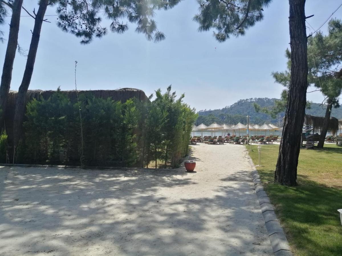 Green Pine Bungalows & Beach Luxury Concept Oludeniz Exteriér fotografie