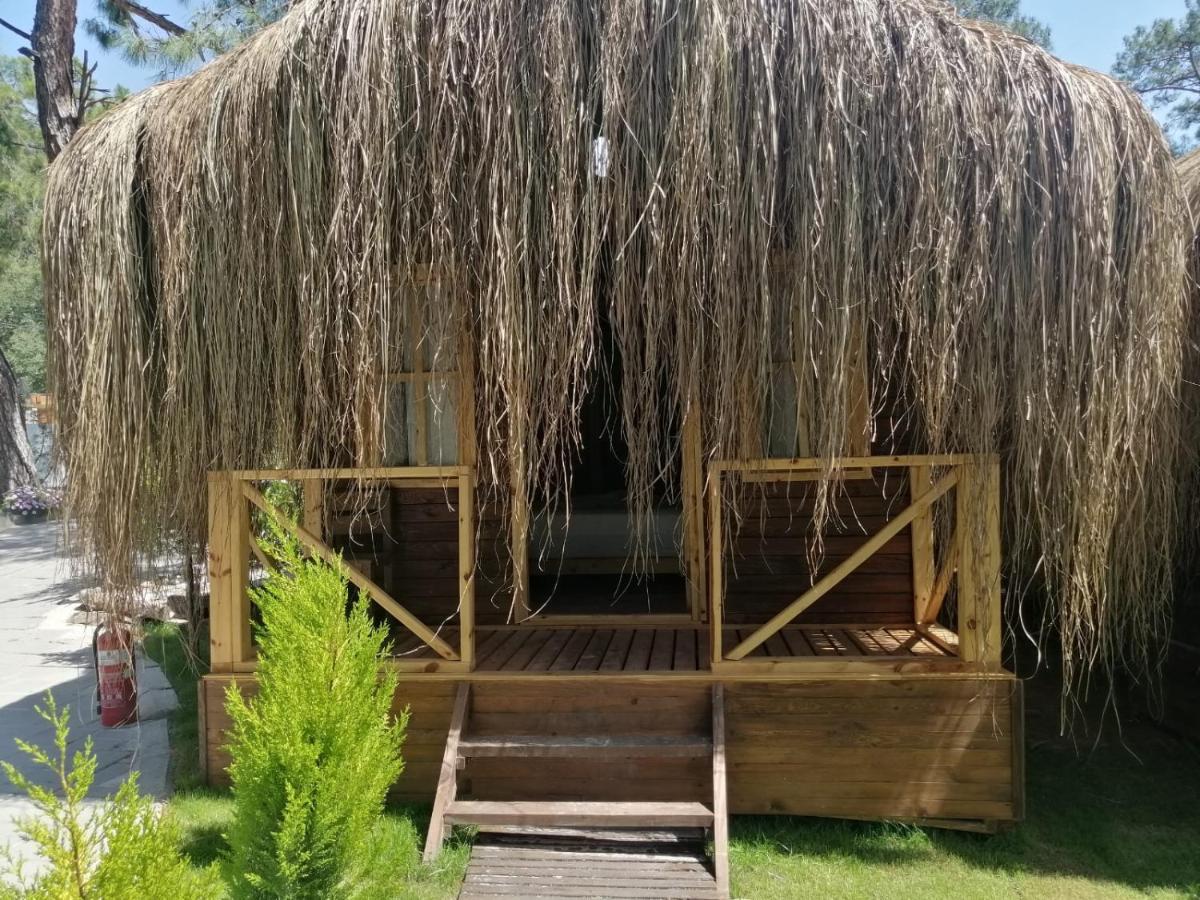 Green Pine Bungalows & Beach Luxury Concept Oludeniz Exteriér fotografie