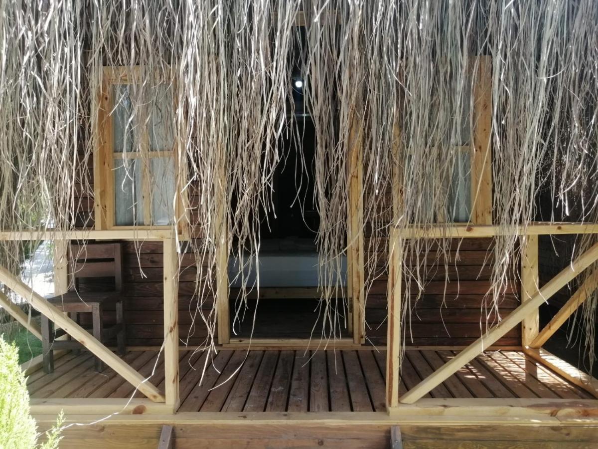 Green Pine Bungalows & Beach Luxury Concept Oludeniz Exteriér fotografie