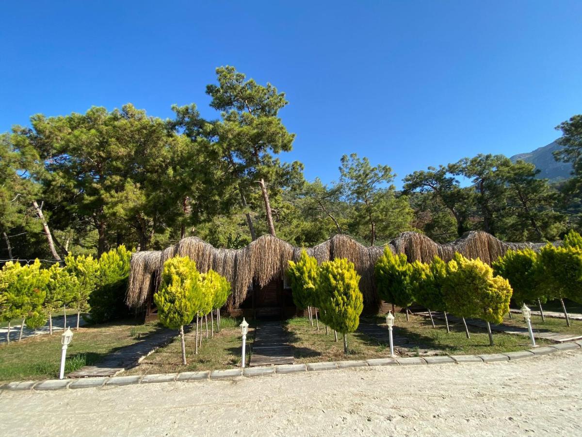Green Pine Bungalows & Beach Luxury Concept Oludeniz Exteriér fotografie