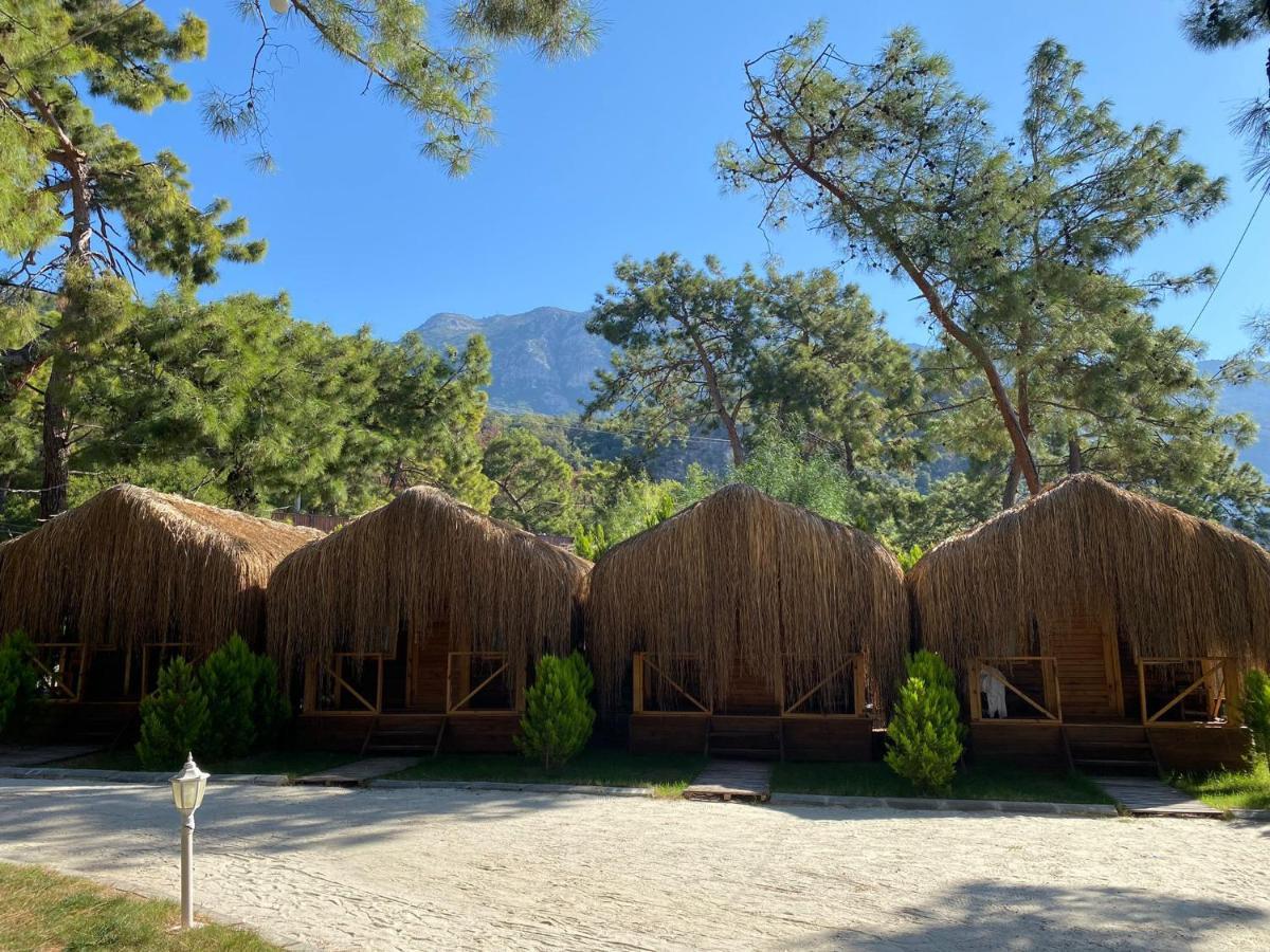 Green Pine Bungalows & Beach Luxury Concept Oludeniz Exteriér fotografie