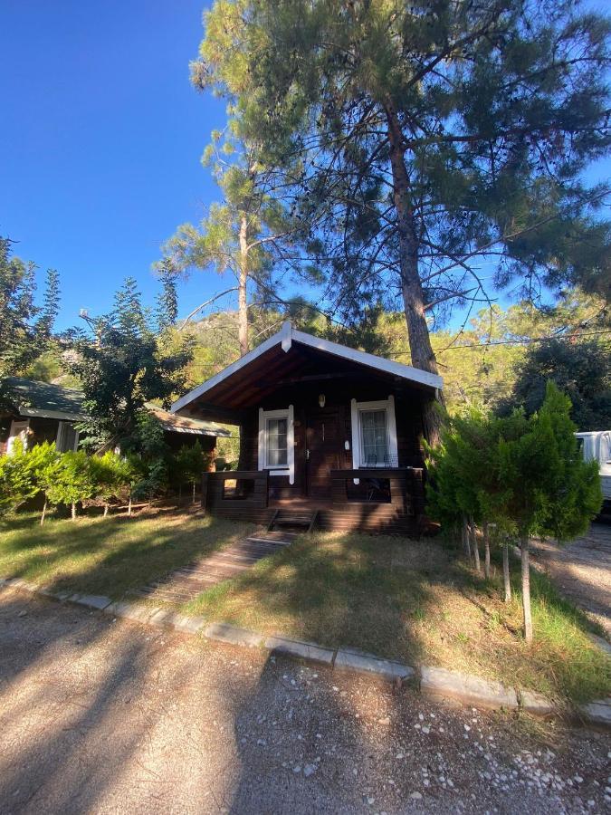 Green Pine Bungalows & Beach Luxury Concept Oludeniz Exteriér fotografie