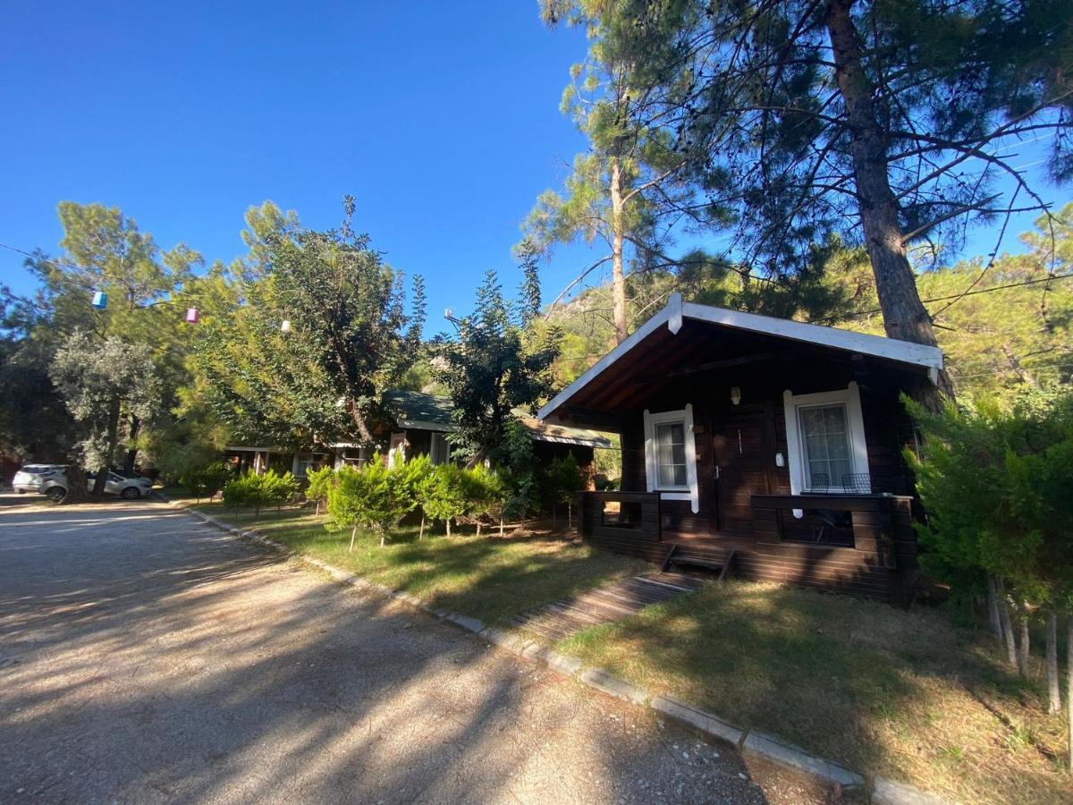 Green Pine Bungalows & Beach Luxury Concept Oludeniz Exteriér fotografie