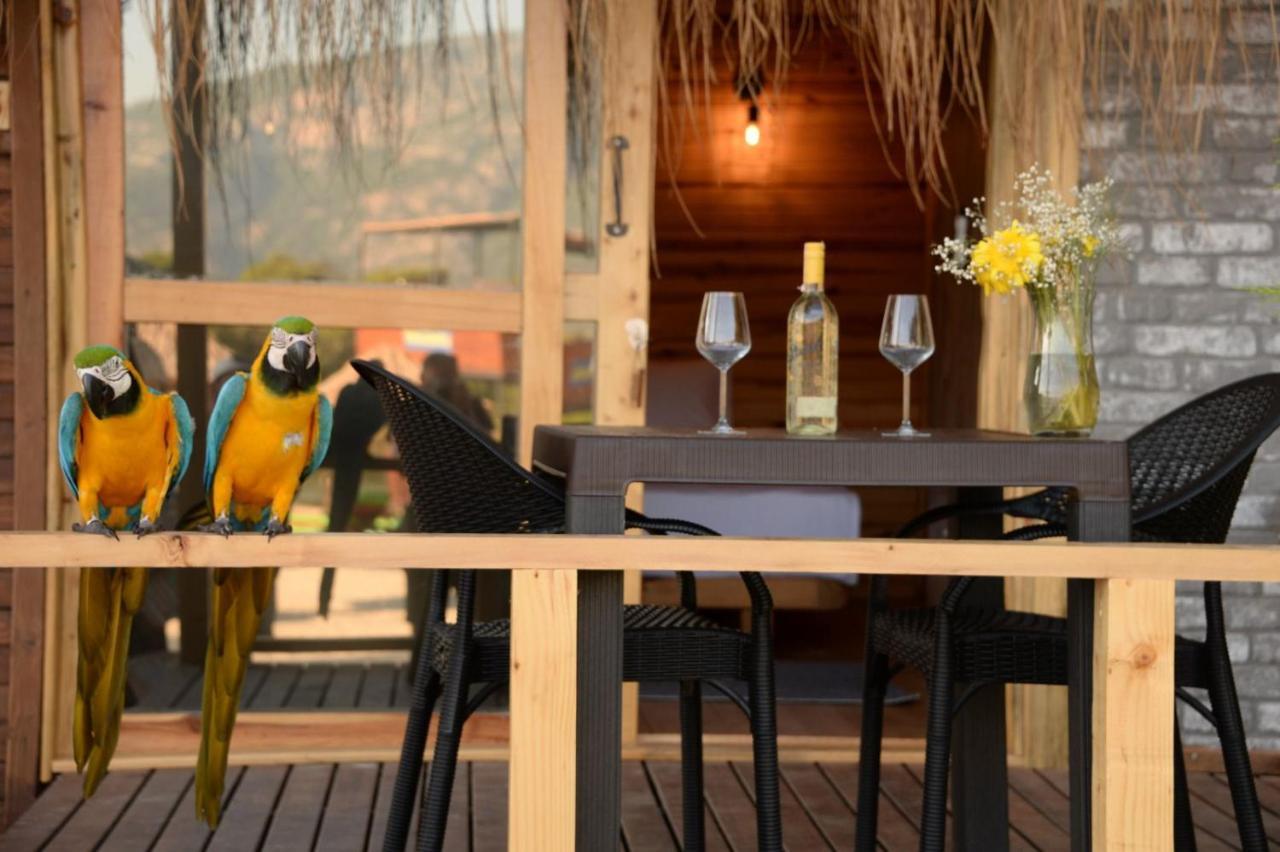 Green Pine Bungalows & Beach Luxury Concept Oludeniz Exteriér fotografie